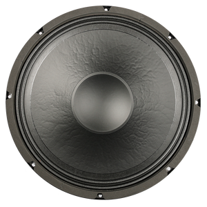 12 inch openbaffle hifi woofer