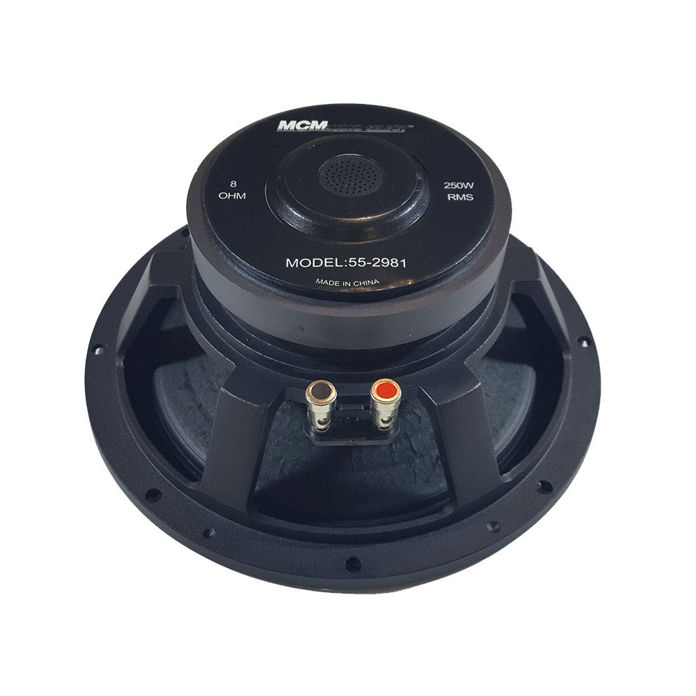 10" 250W High Power Woofer 8 Ohm