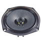 6.5" Full Range Guitar Radio Speaker