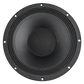 12 inch full range driver for foldback