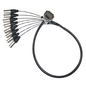 DB25 to XLR Male Cables