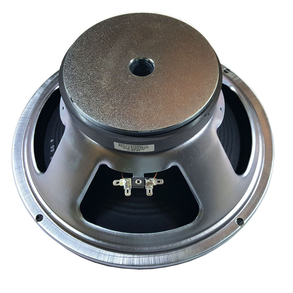 12" Paper Cone Guitar Speaker